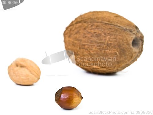 Image of Nuts