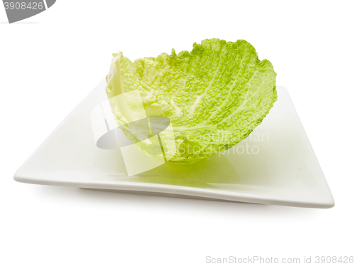 Image of Cabbage Leaf