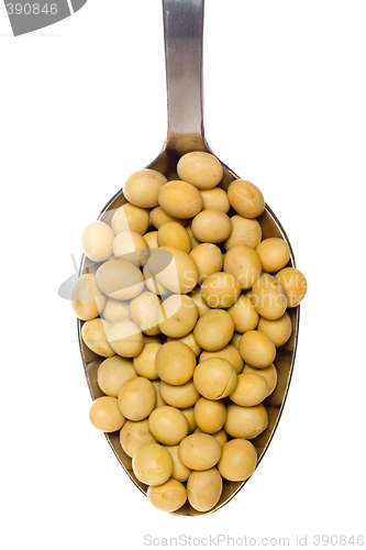 Image of Spoonful of soy beans

