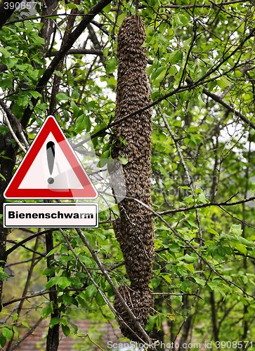 Image of Swarm of bees attention sign