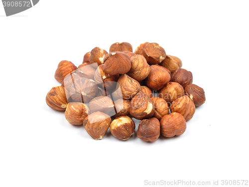 Image of Hazelnuts  on white