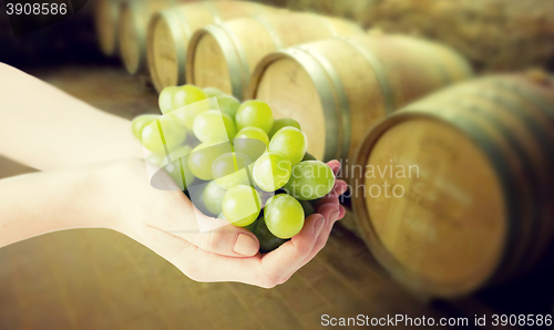 Image of close up of woman hands holding green grape bunch