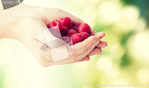 Image of close up of woman hands holding raspberries