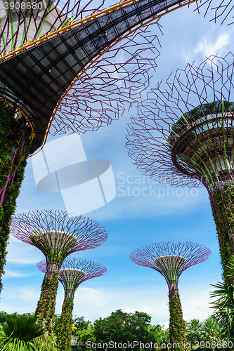 Image of Garden by The Bay, Singapore