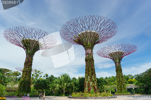 Image of Garden by The Bay, Singapore