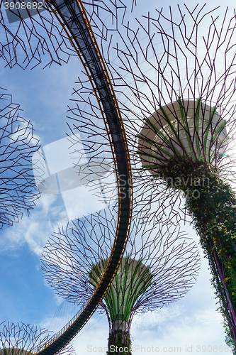 Image of Garden by The Bay, Singapore