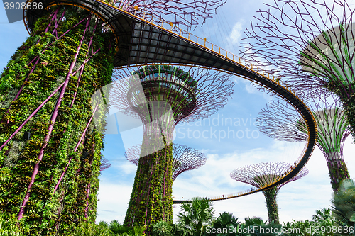 Image of Garden by The Bay, Singapore