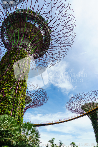 Image of Garden by The Bay, Singapore