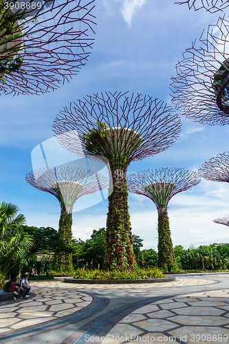 Image of Garden by The Bay, Singapore