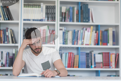 Image of student study  in school library