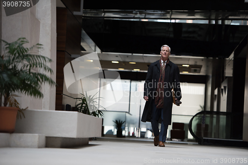 Image of handsome senior business man walking