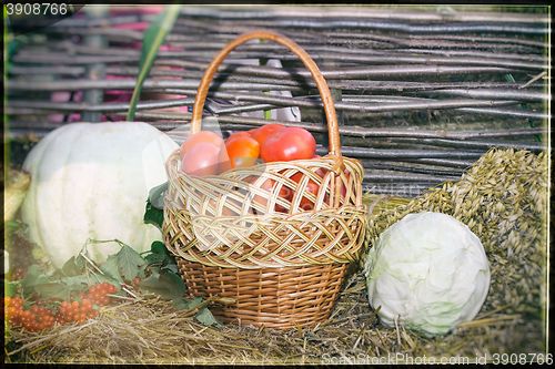 Image of Vegetable harvest is sold at the fair.