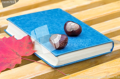 Image of Books, chestnuts and fallen leaves on a Park bench.