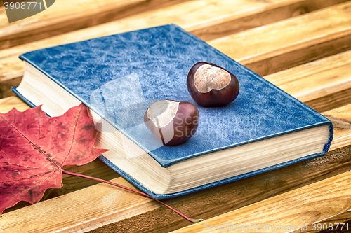 Image of Books, chestnuts and fallen leaves on a Park bench.