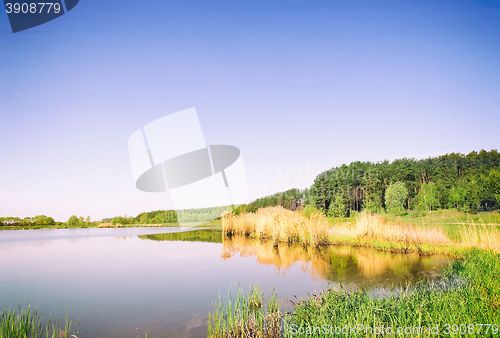 Image of A large beautiful lake, with banks overgrown with reeds.