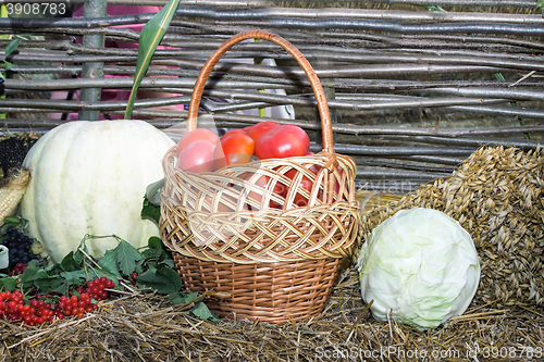 Image of Vegetable harvest is sold at the fair.