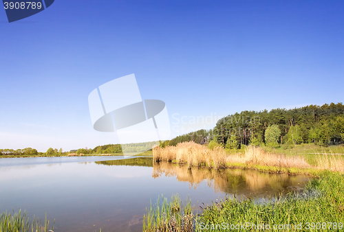 Image of A large beautiful lake, with banks overgrown with reeds.