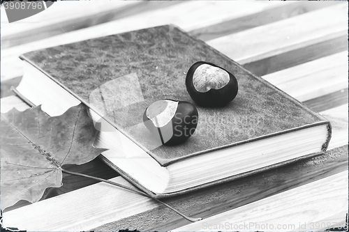 Image of Books, chestnuts and fallen leaves on a Park bench.