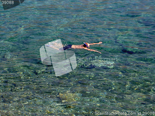 Image of Snorkeling