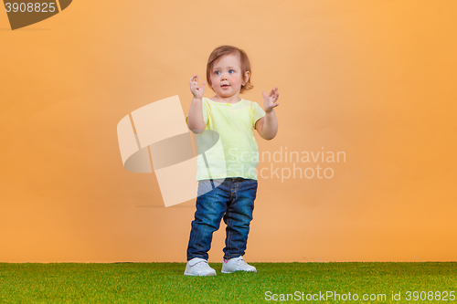 Image of One cute baby girl on orange background