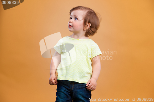 Image of One cute baby girl on orange background