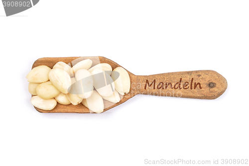 Image of Blanched almonds on shovel