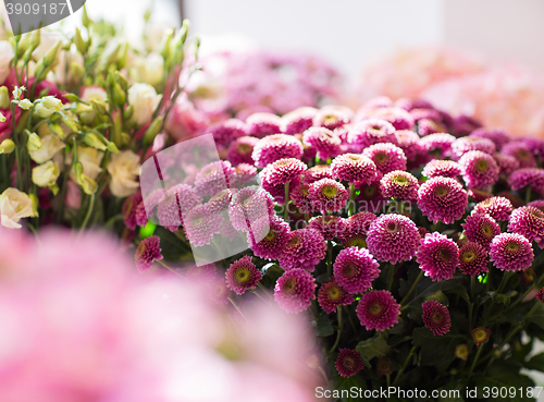 Image of close up of chrysanthemums at flower shop