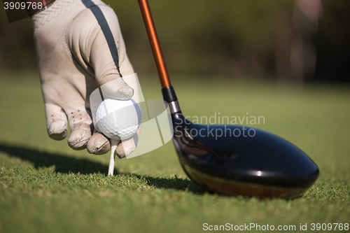 Image of golf player placing ball on tee