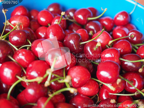 Image of Cherry fruit detail