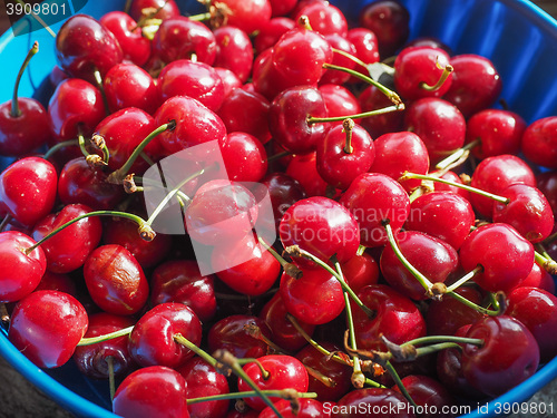 Image of Cherry fruit detail
