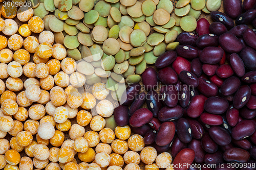 Image of bean, lentil and pea