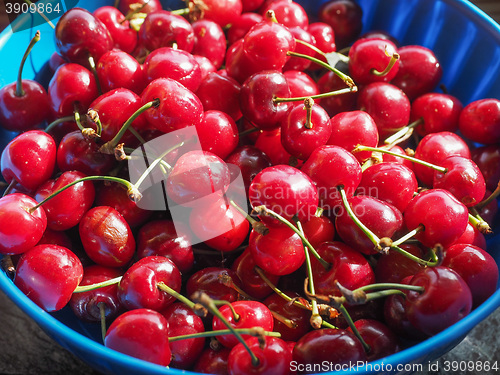 Image of Cherry fruit detail