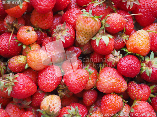 Image of Strawberry fruits detail