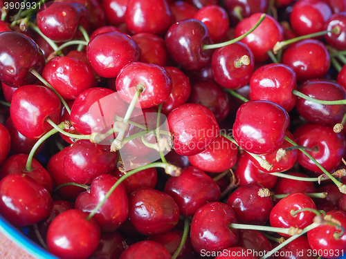 Image of Cherry fruit detail