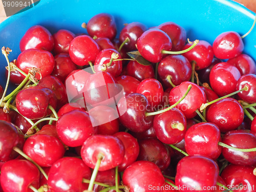Image of Cherry fruit detail