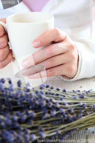 Image of Hands holding a cup