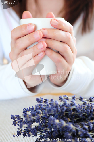 Image of Hands holding a cup