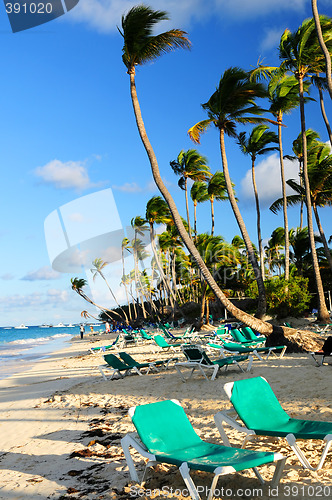 Image of Sandy beach of tropical resort