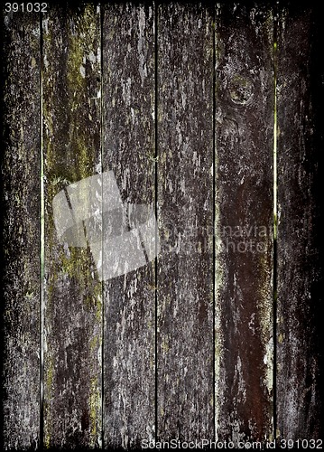 Image of grunge wood