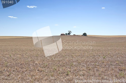 Image of dry farm