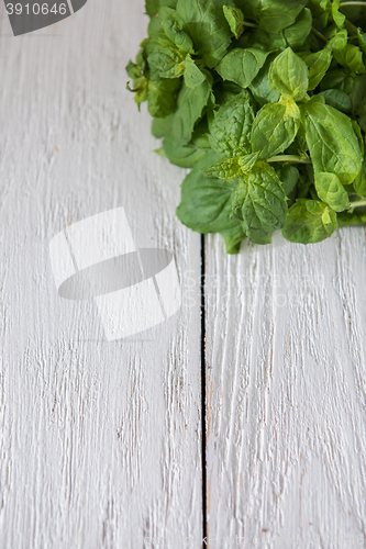 Image of Fresh peppermint on wood 