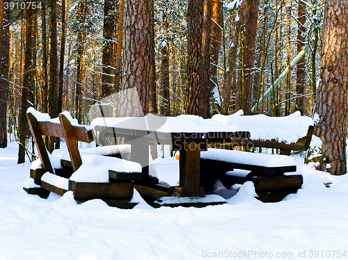 Image of Table in Forest