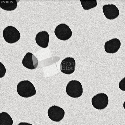 Image of dalmation spots