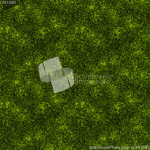 Image of hedge