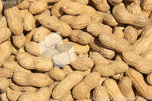 Image of peanuts in shells