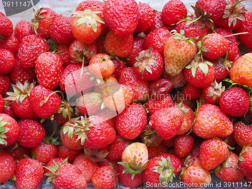 Image of Strawberry fruits detail