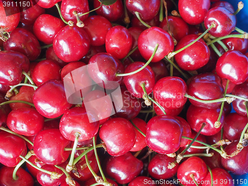 Image of Cherry fruit detail