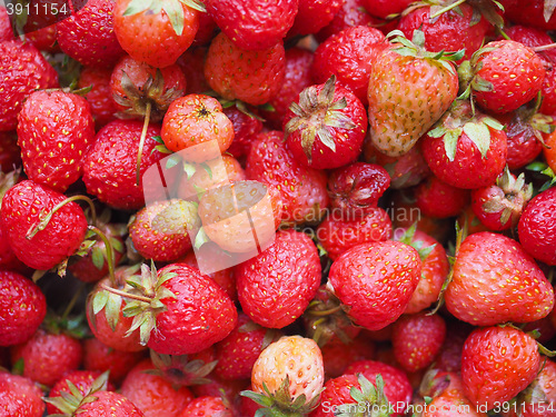 Image of Strawberry fruits detail