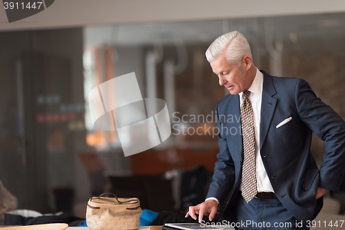 Image of senior business man reading reports