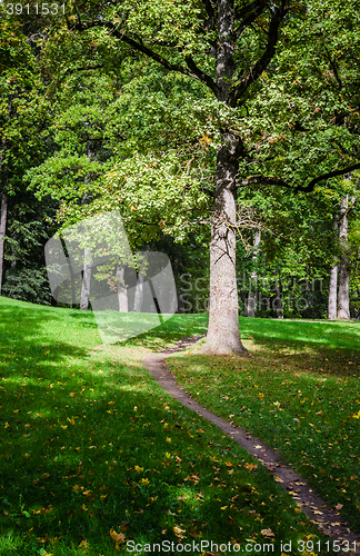 Image of Footpath in old park, an autumn landscape